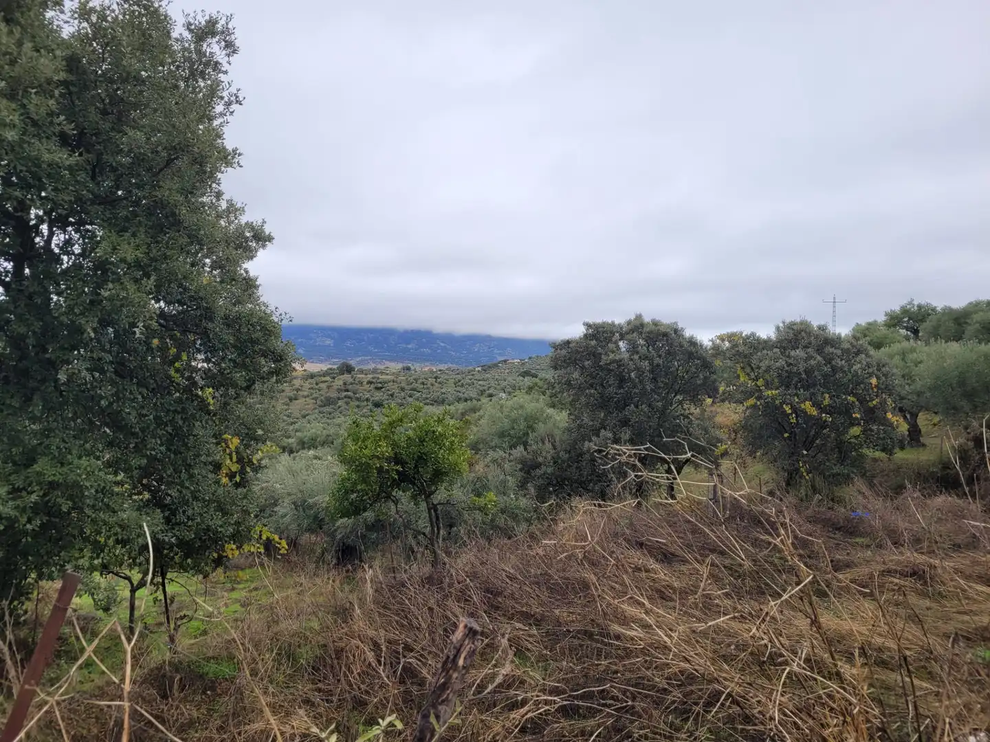 Terreni e lotti in vendita a Carretera Malpartida 5M, imagen 3