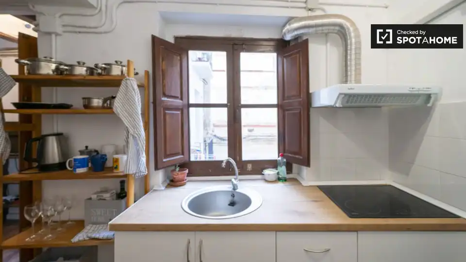Room in Valencia, Valencia