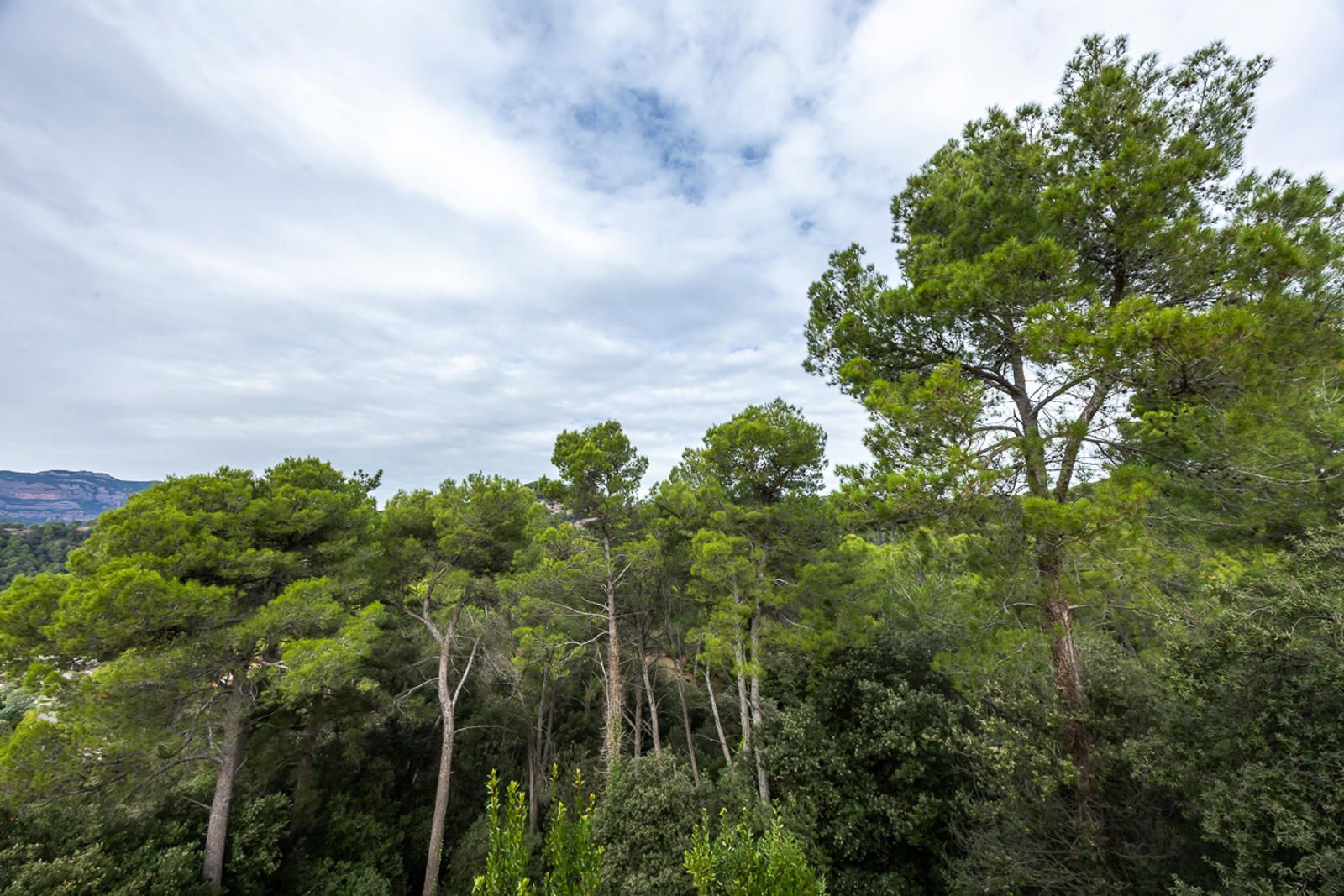 Casa o xalet en venda en Castellar del Vallès amb Calefacció, Jardí privat i Terrassa