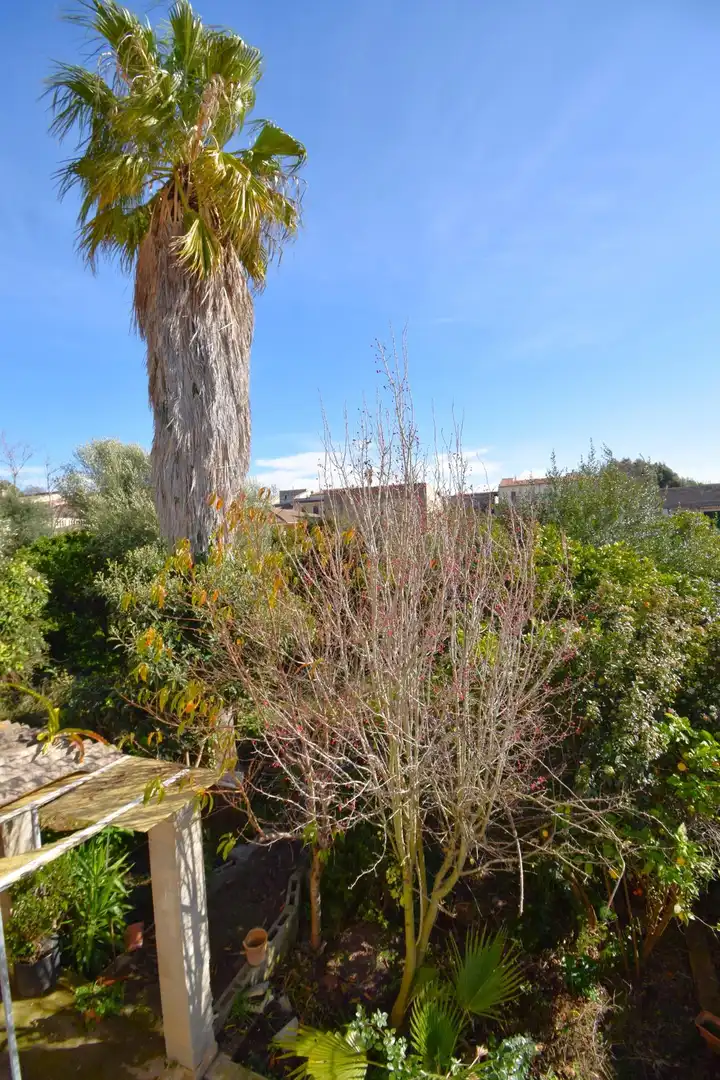Casa con jardín en venta en Campanet, imagen 34