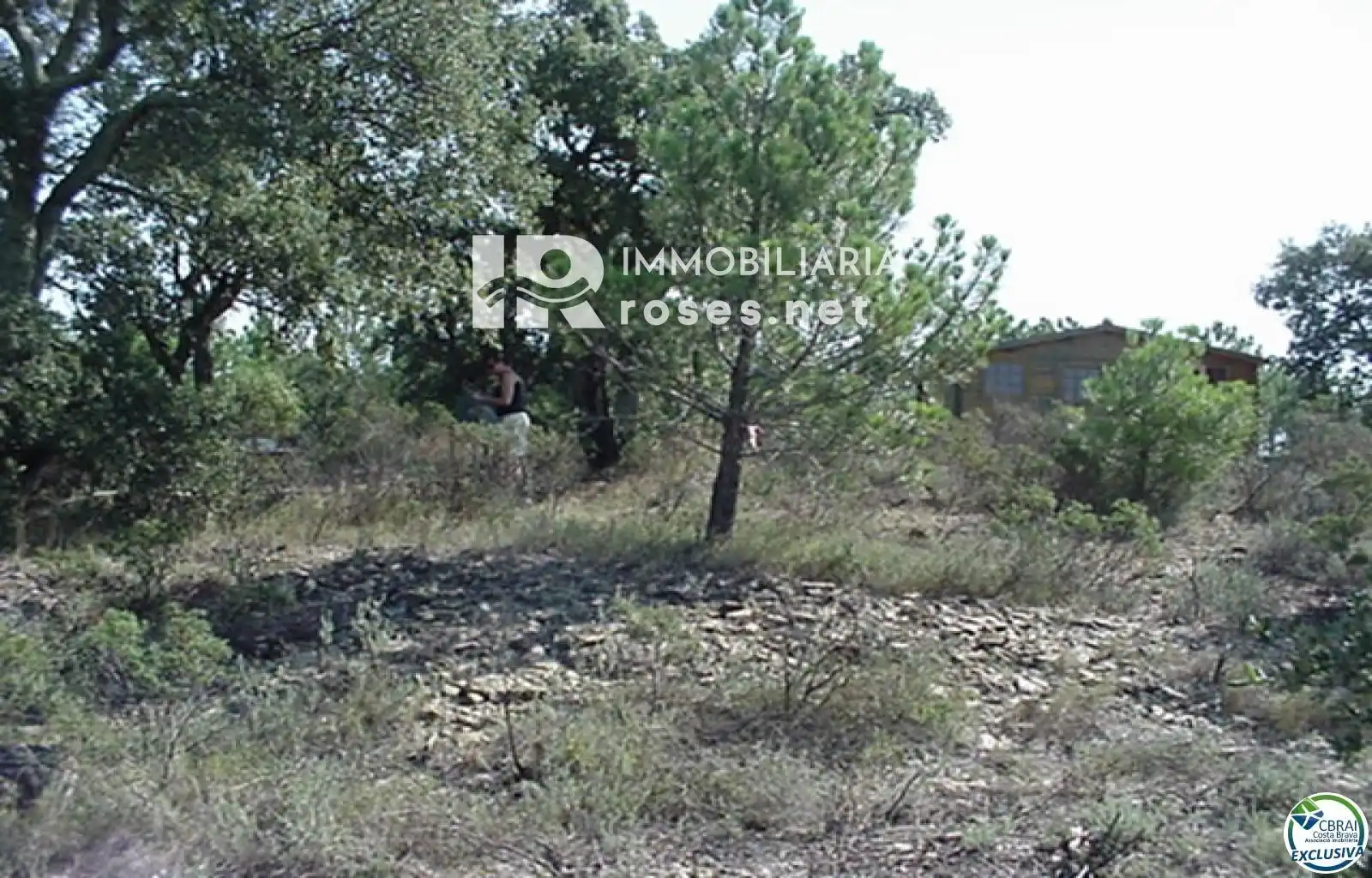 Rural land for sale in Butaros, imagen 19