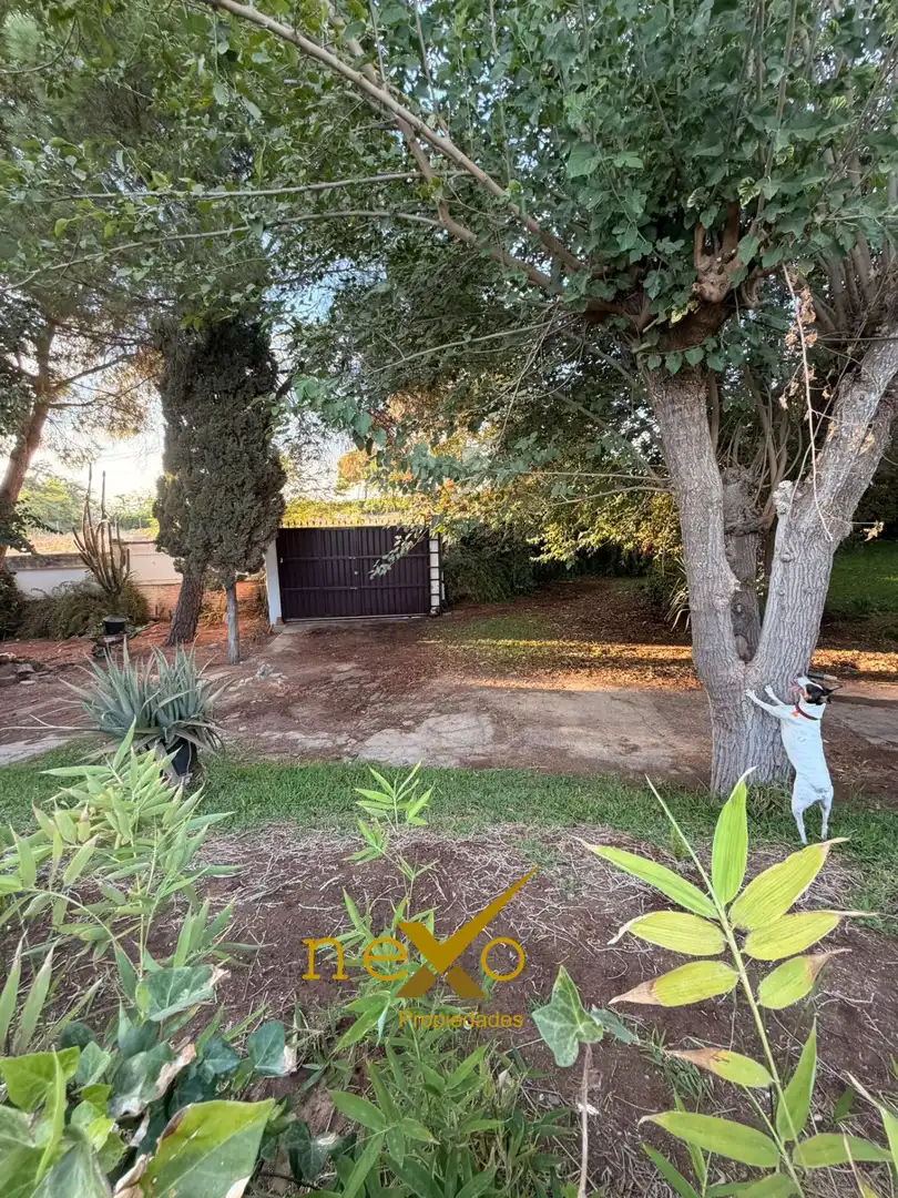 Chalet con piscina en venta en Carmona, imagen 12