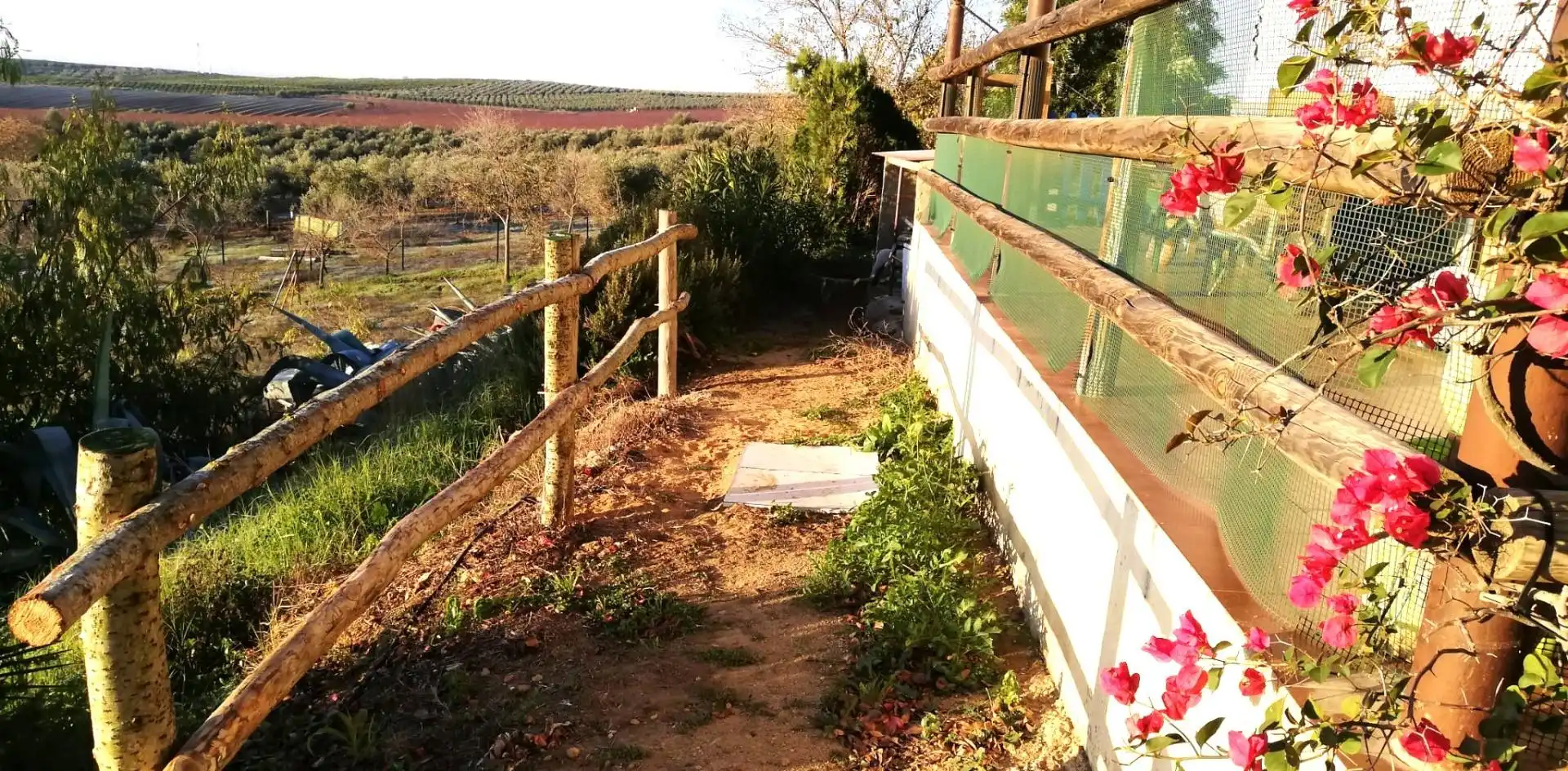 Jardí de Casa o xalet en venda en Villanueva del Río y Minas amb Jardí privat, Terrassa i Traster