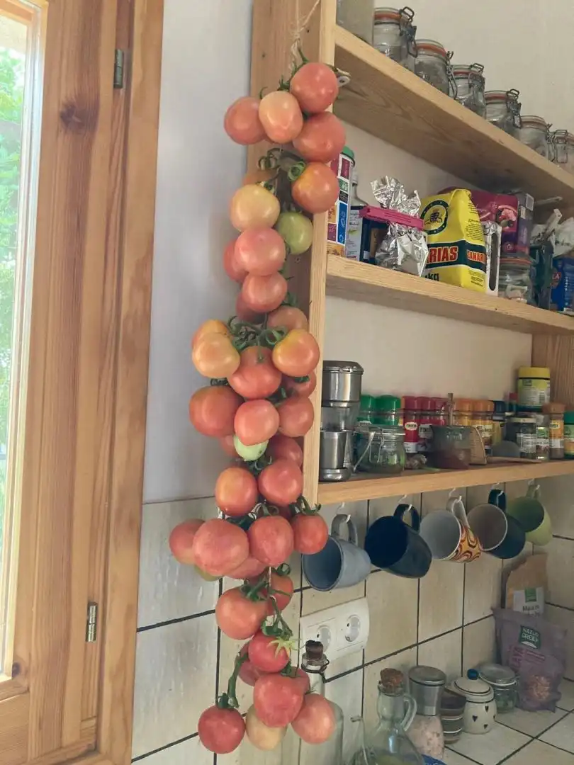 Cocina de Finca rústica en venta en Freginals con Terraza y Trastero