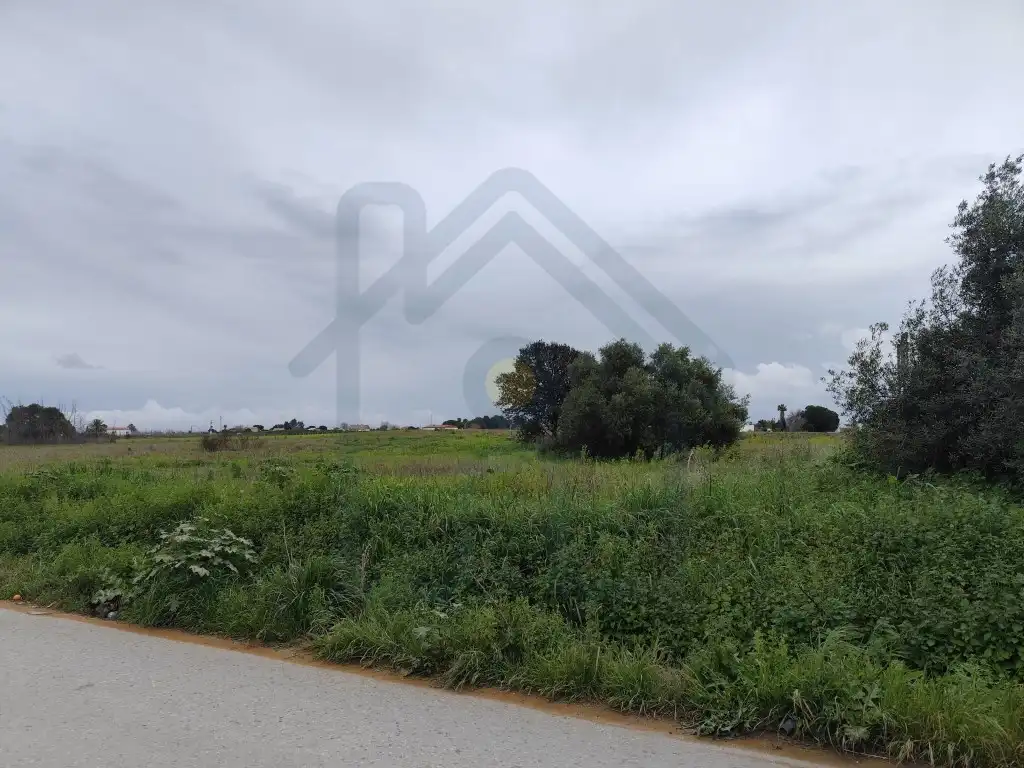 Terreno rústico en venta en Los Palacios y Villafranca, imagen 5