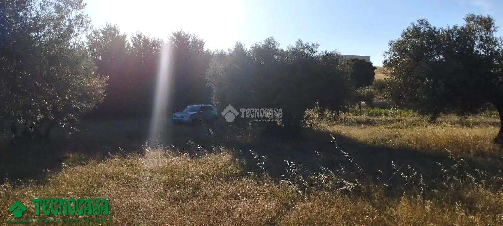 Terreni e lotti in vendita a Méntrida, imagen 4