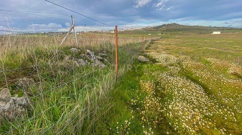 Foto 5 de Terreno en venta en Polígono 72, Parce, Azuaga, Badajoz