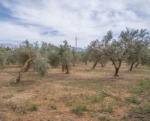 Land for sale in Las Gabias