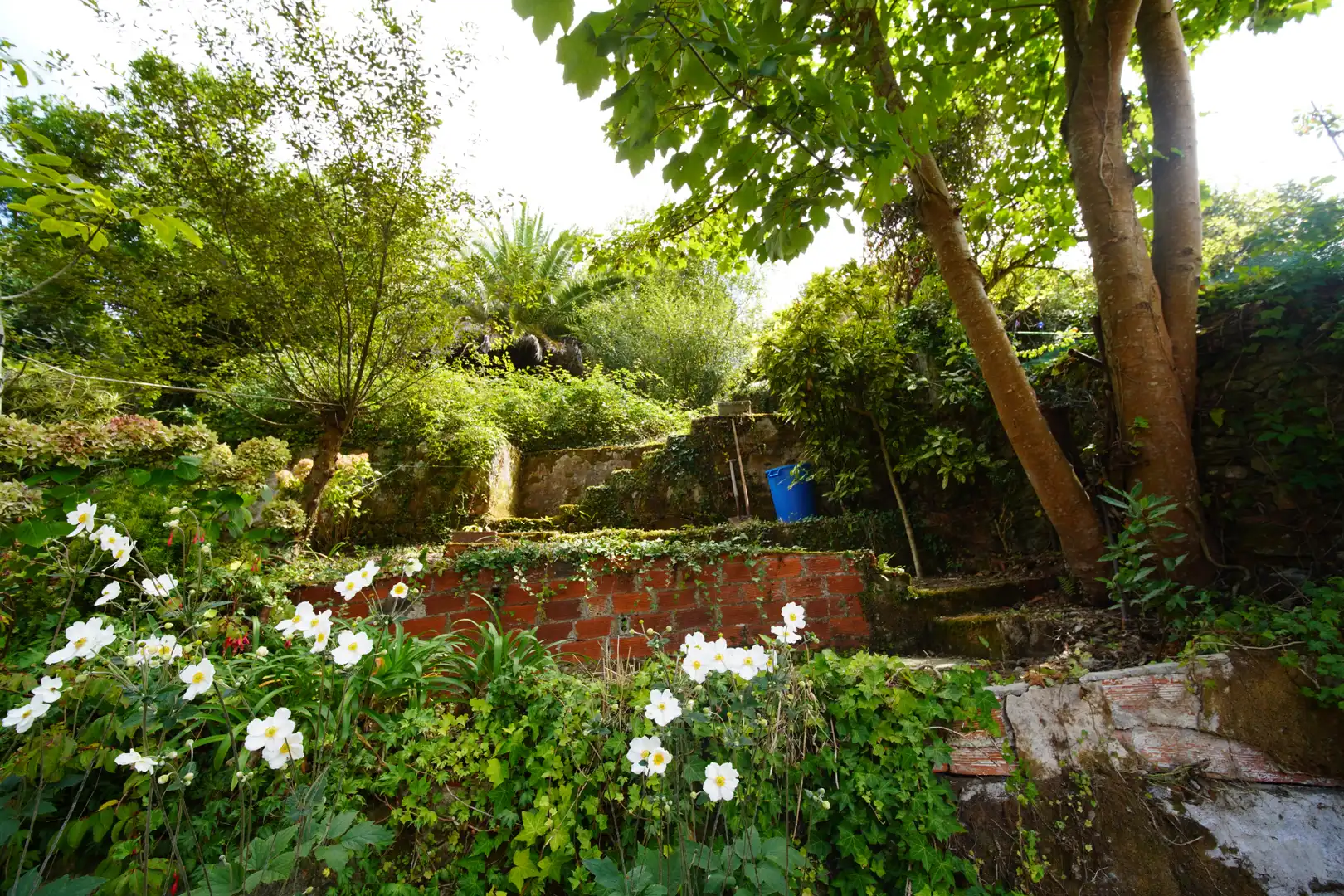 Garden of Flat for sale in Cudillero  with Heating, Private garden and Parquet flooring