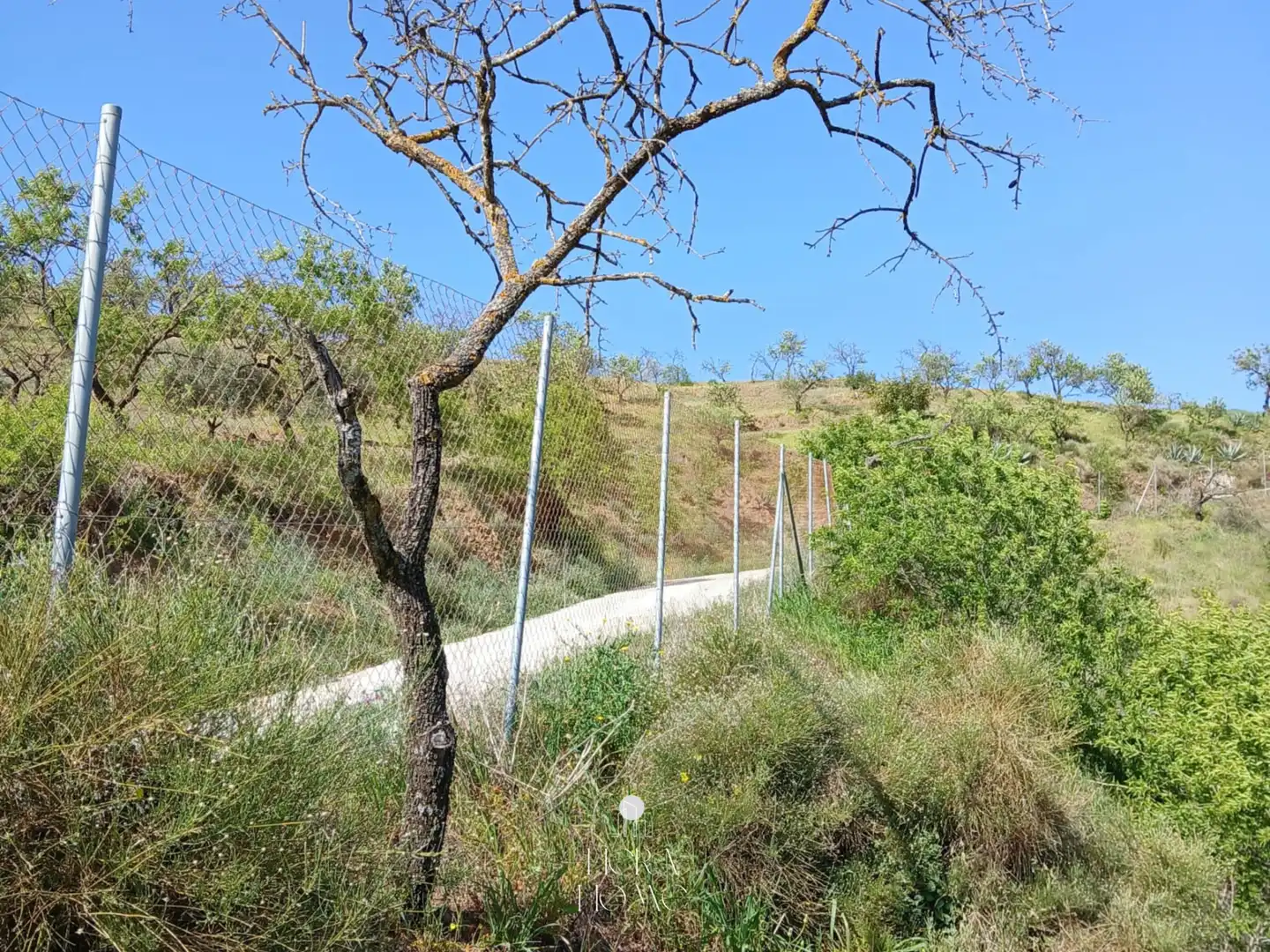 Grundstücke zum Verkauf in Carratraca