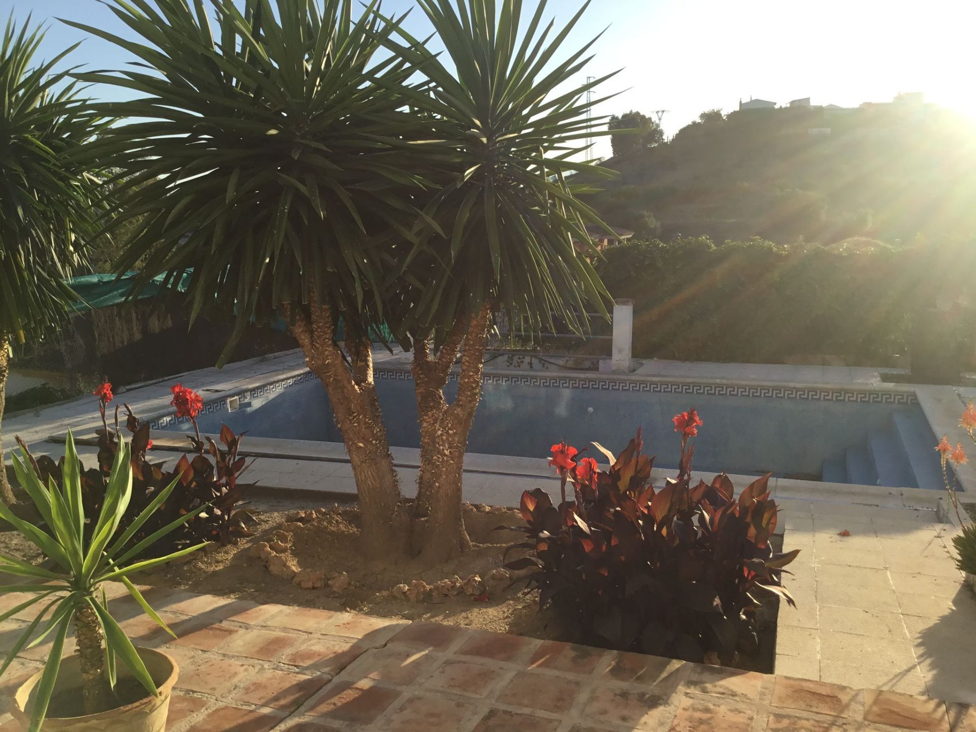 Swimming pool of House or chalet for sale in Cártama  with Private garden, Terrace and Storage room