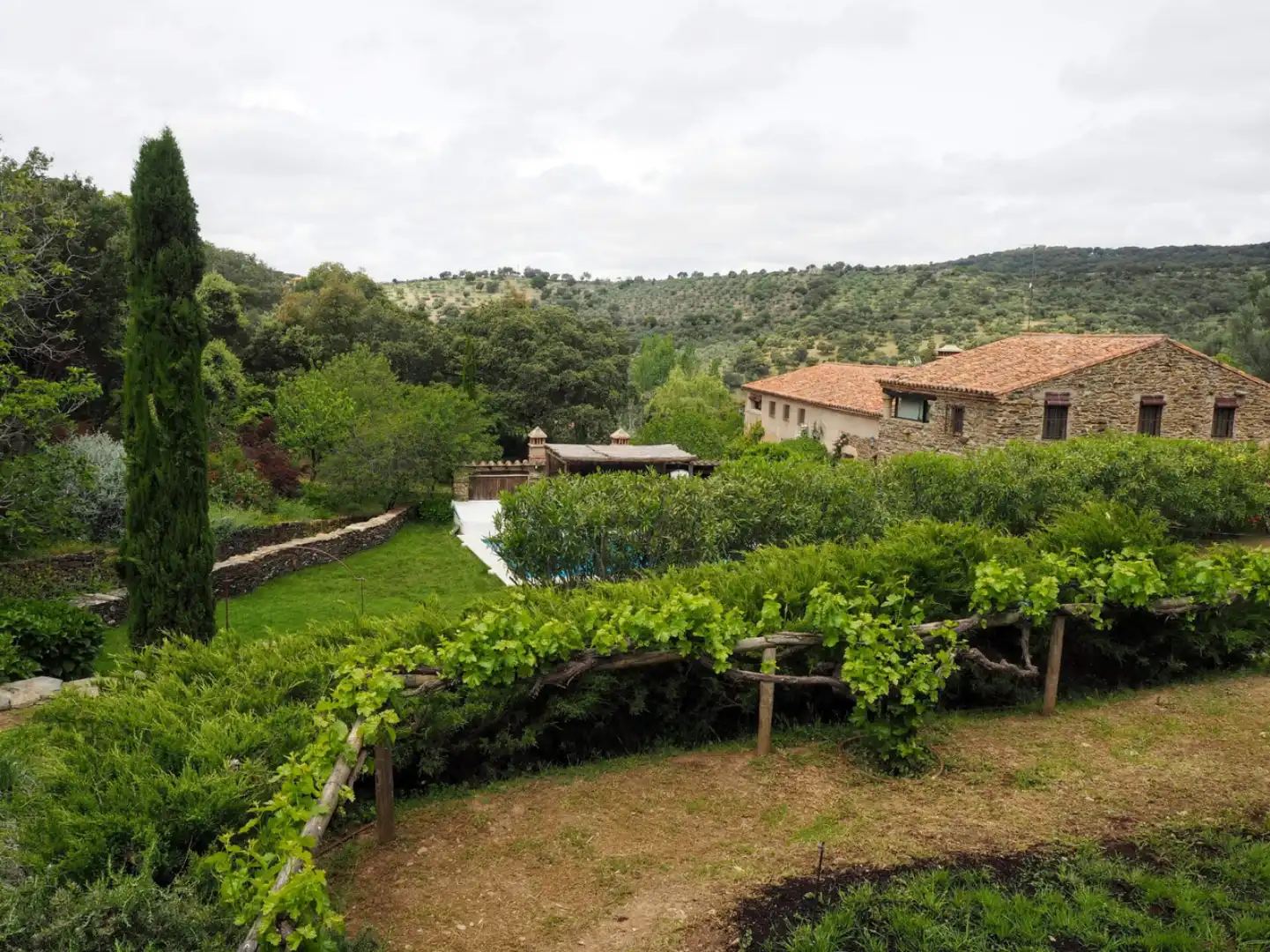 Houses for sale in Madroñera - LAS ANIMAS, Madroñera