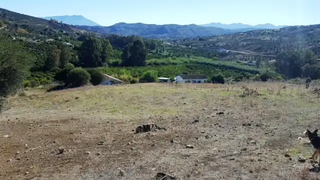 Terreni e lotti in vendita a Avenida de San Roque, imagen 16