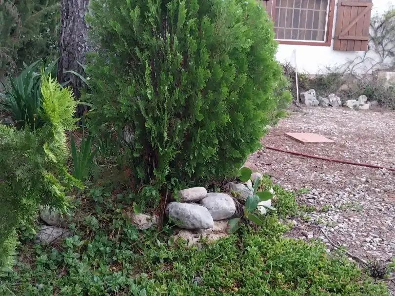 Casa con jardín en venta en Avinguda Maristany 0, imagen 17