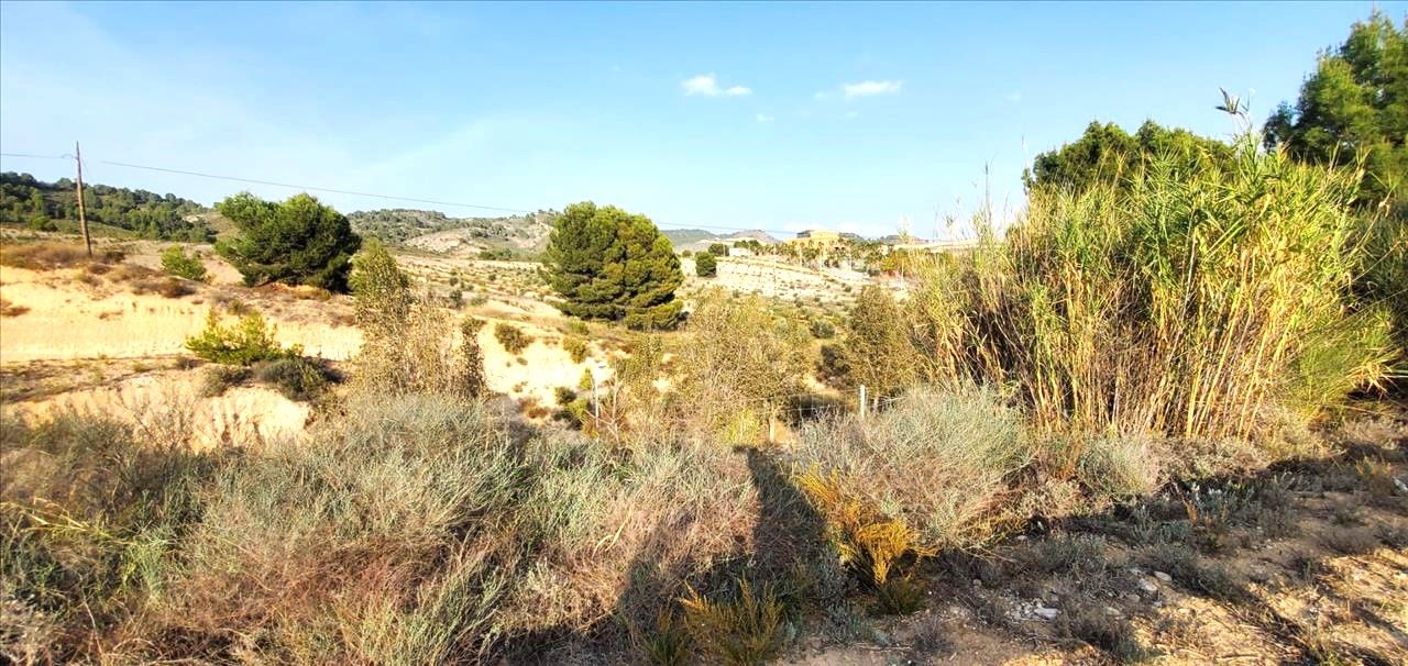 Residential for sale in Monteral, Mula
