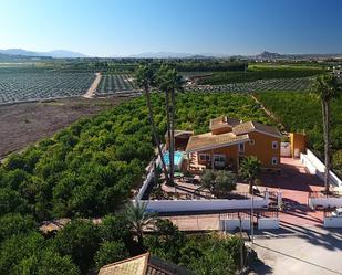 Casa o xalet en venda a Orihuela ciudad