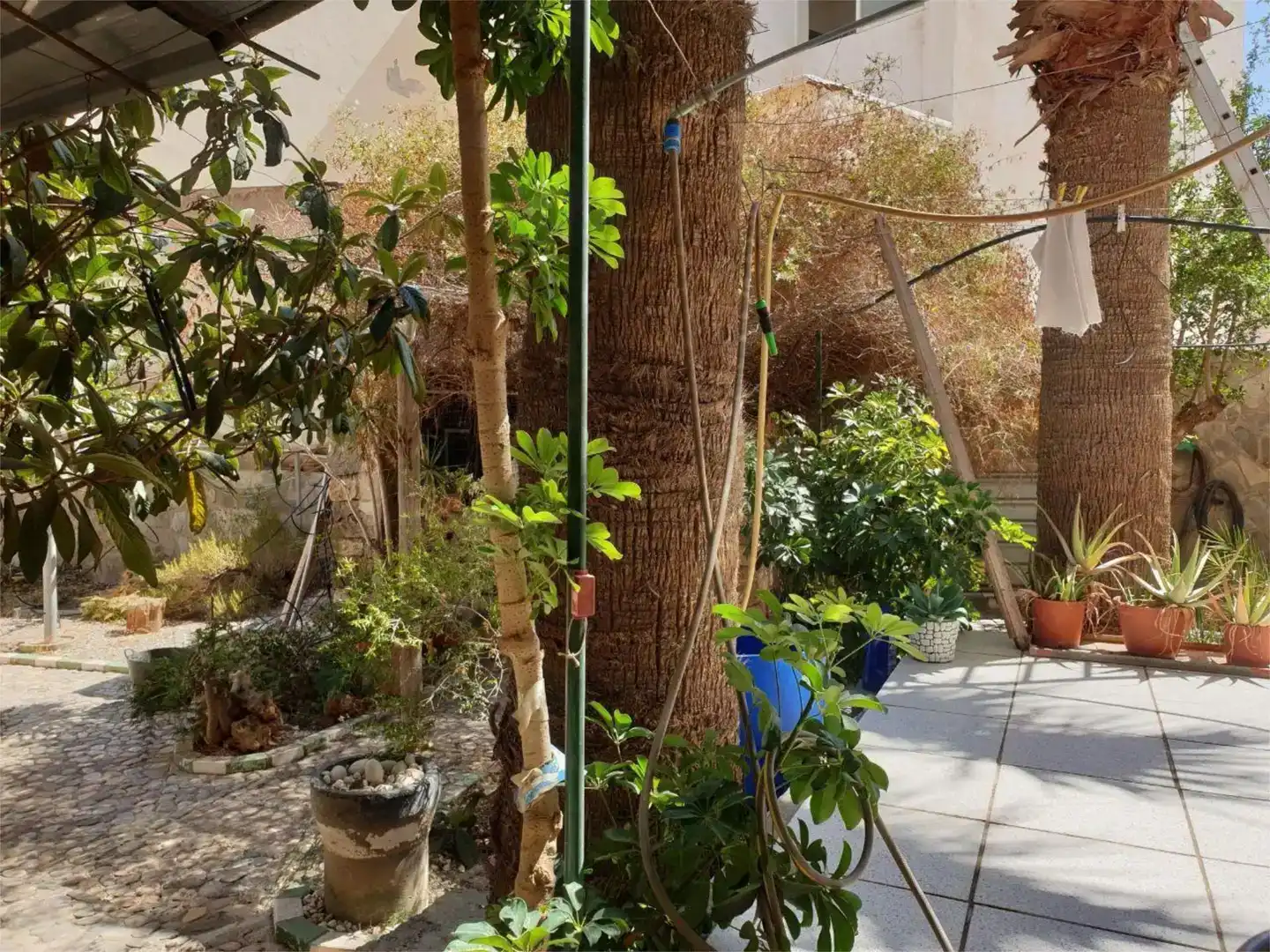 Garden of Flat for sale in El Ejido  with Air Conditioner, Private garden and Storage room
