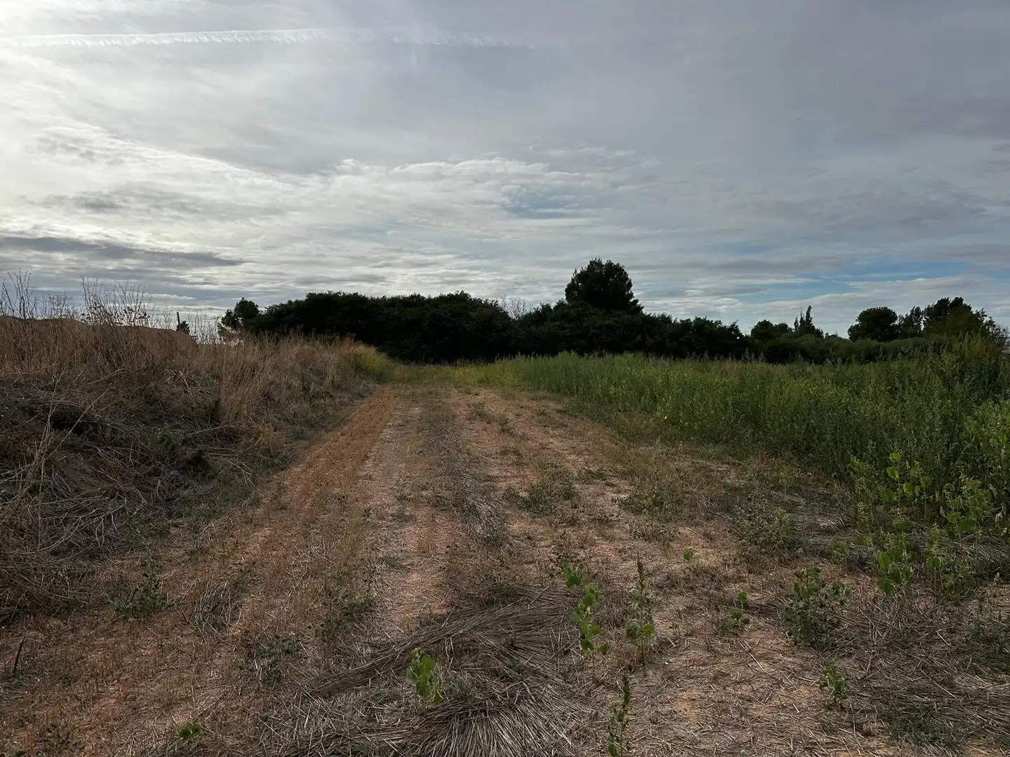 Land for sale in Albatàrrec