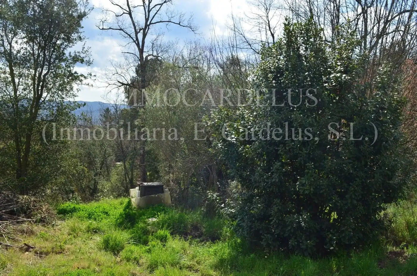 Terreny residencial en venda a Riells i Viabrea, imagen 7
