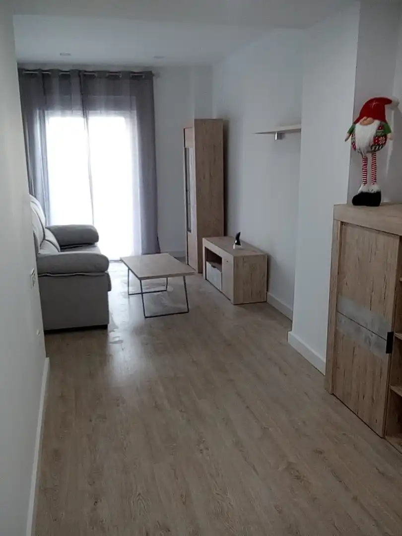 Sala d'estar de Pis de lloguer en Elche / Elx amb Moblat