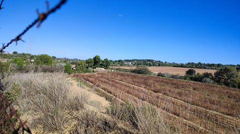 MASIA CON SUELO DE CULTIVO, NAVE Y VIVIENDA, imatge 4