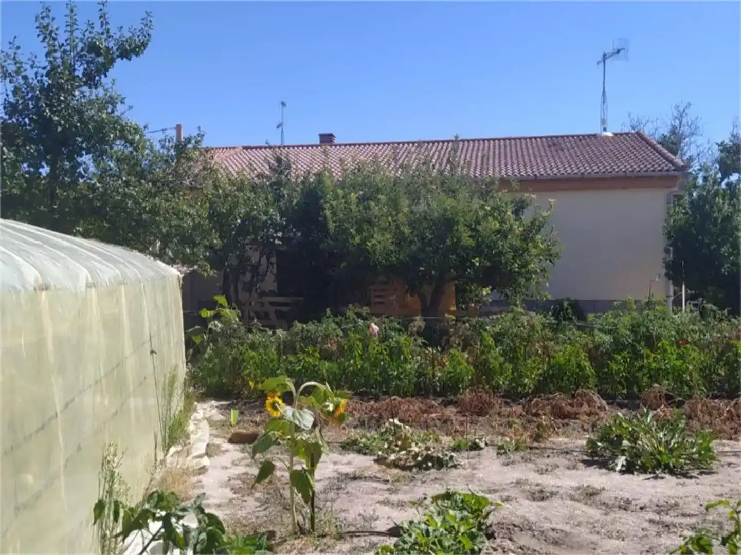 Casa o chalet en venta en Fontiveros