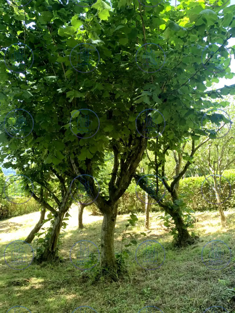 Garten von Country house zum Verkauf in Orio mit Heizung, Privatgarten und Terrasse