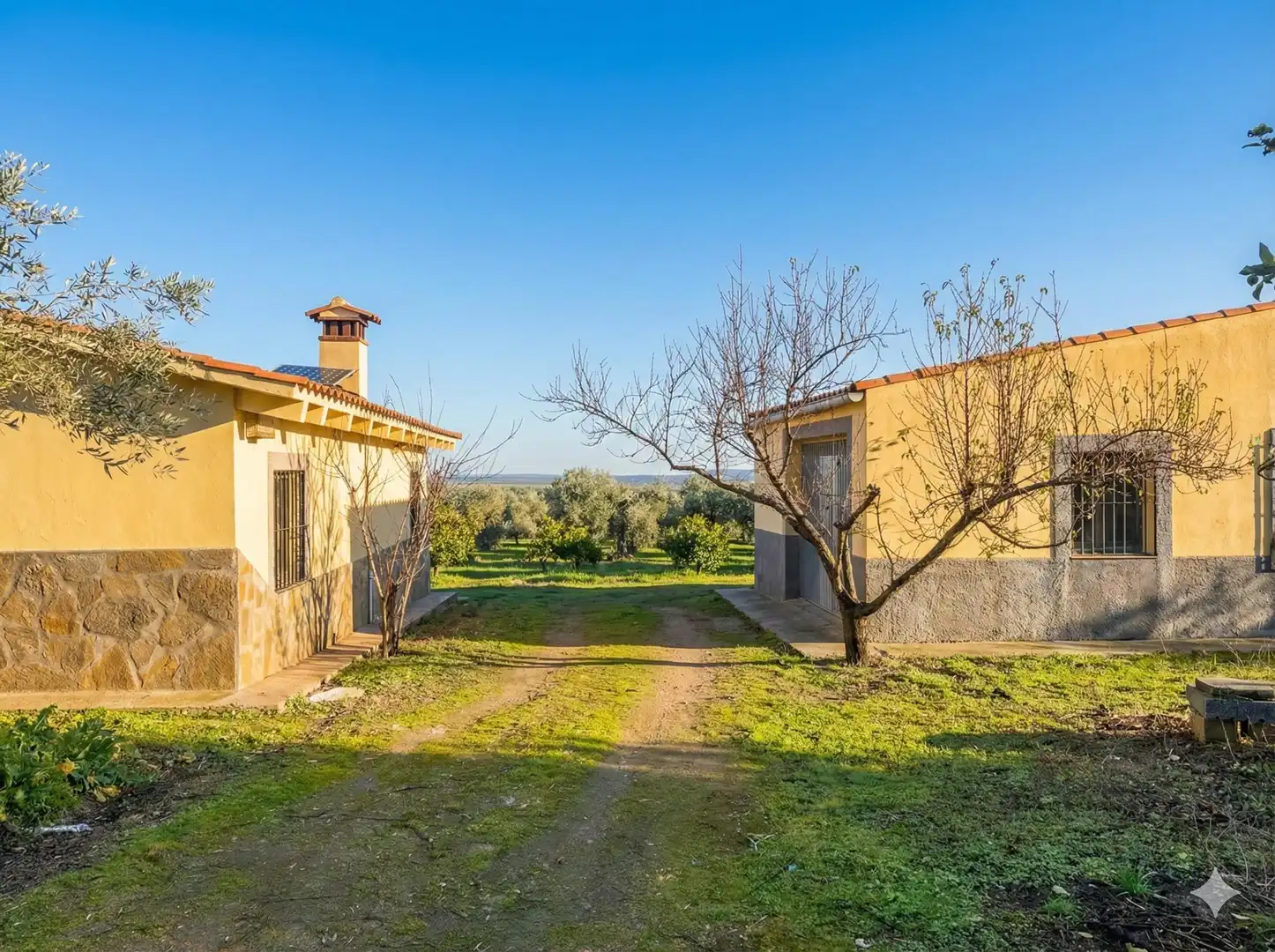 Finca rústica en venta en Montánchez