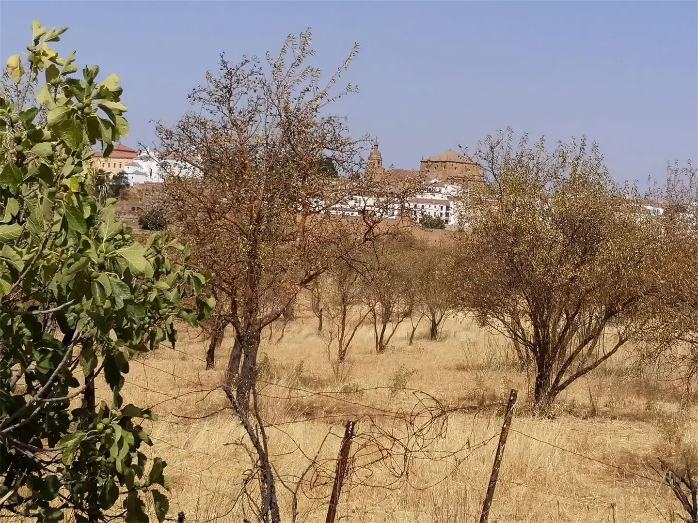 Finca rústica en venda en Ronda