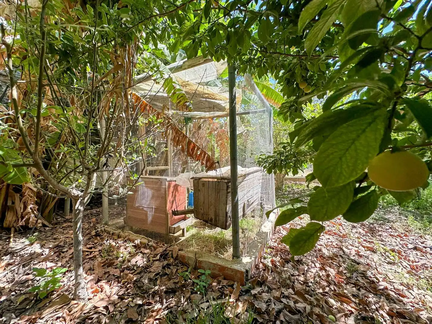 Jardín de Casa o chalet en venta en Motril con Calefacción, Terraza y Trastero