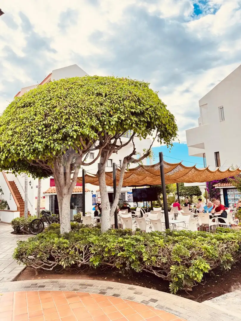 Apartment zum Verkauf in Los Cristianos, imagen 47