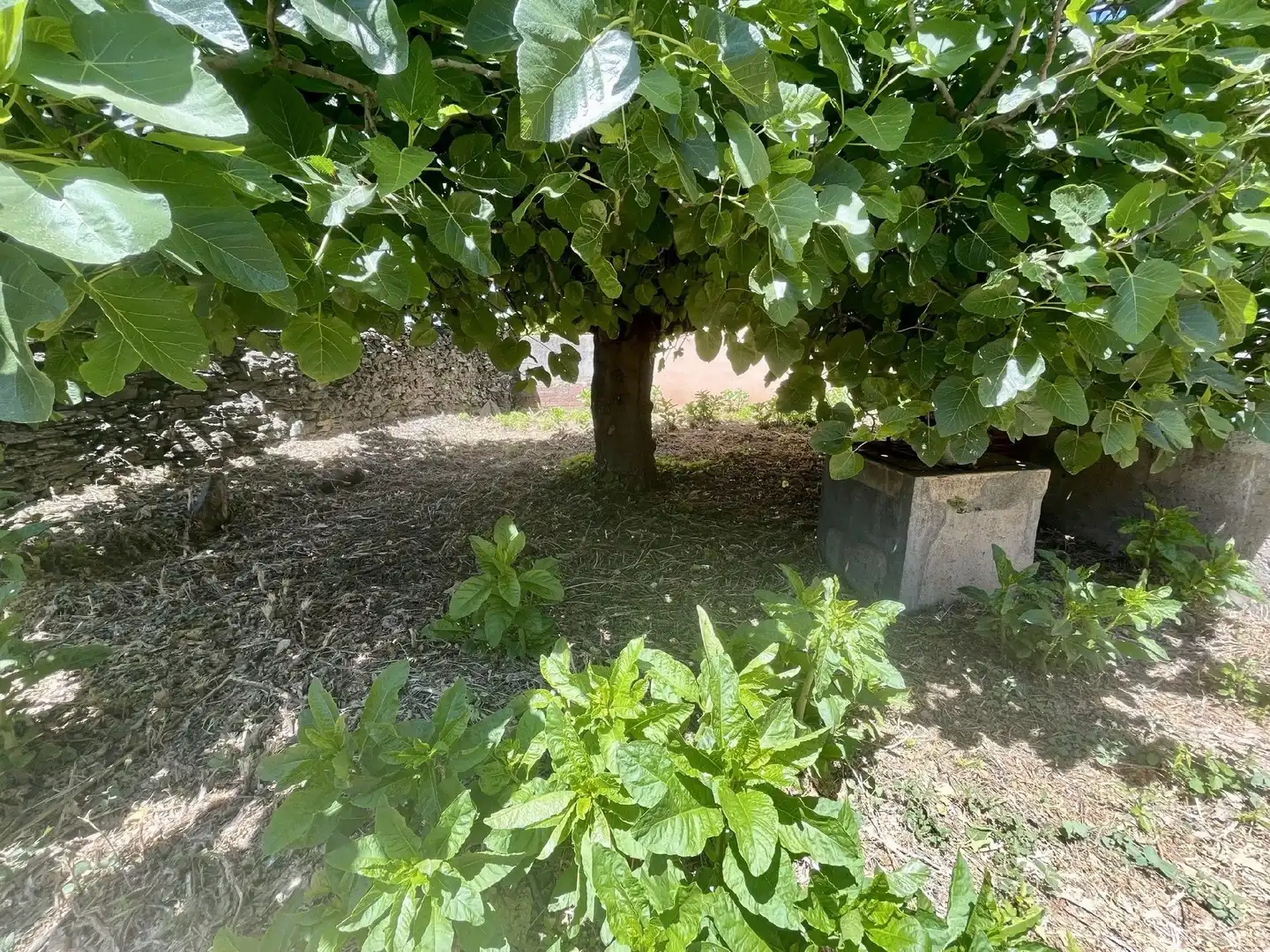 Terreni e lotti in vendita a Malpartida de Plasencia, imagen 2