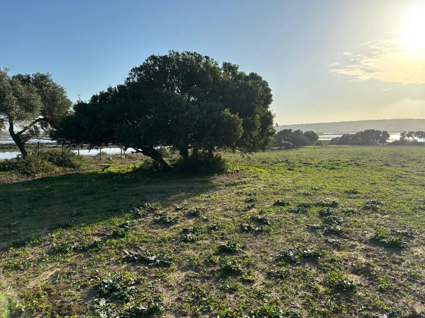 Terreni e lotti in vendita a Vejer, imagen 18
