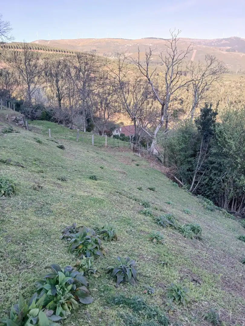 Casa o chalet en venta en As Neves   con Jardín privado