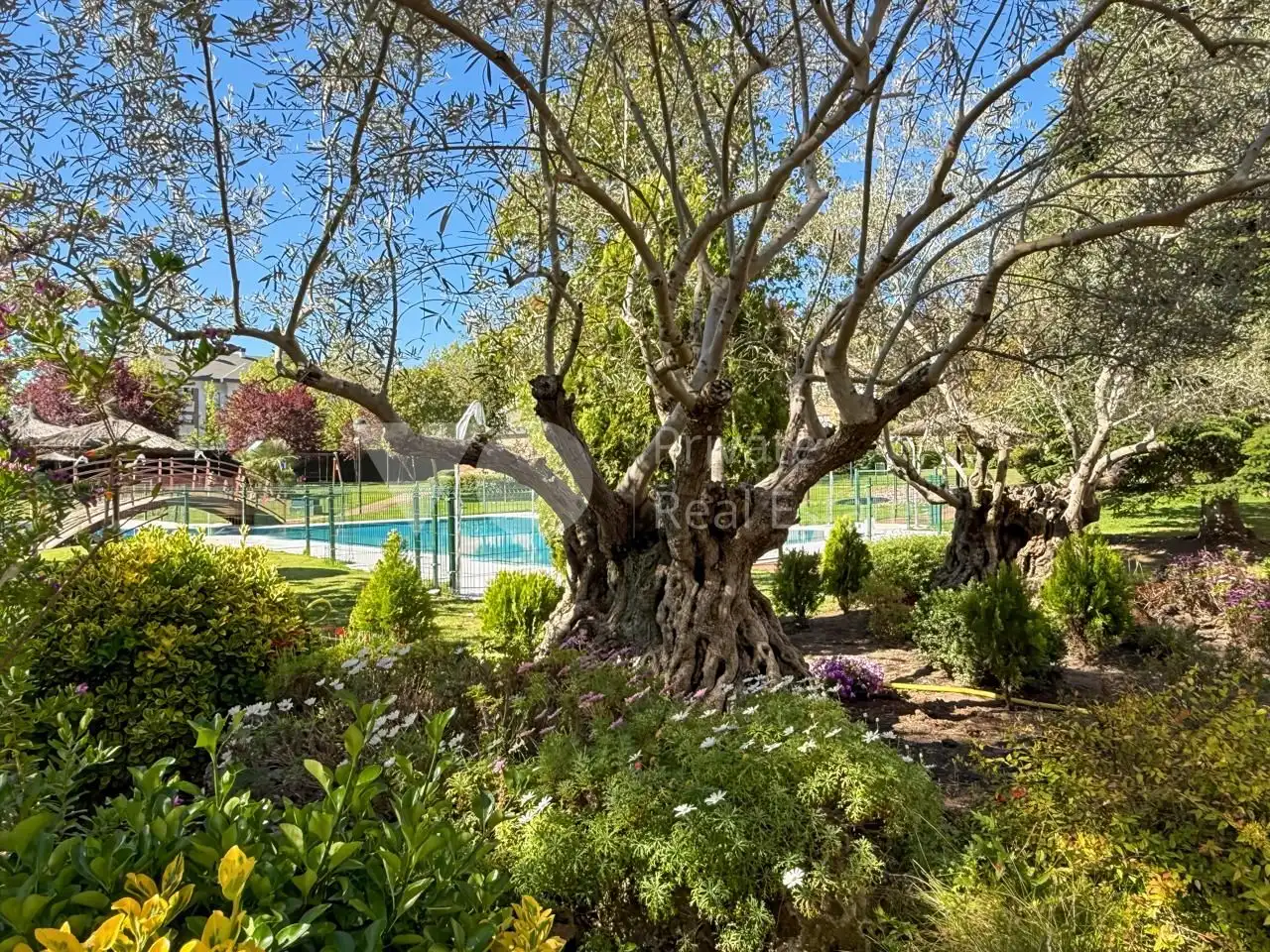 Planta baja de alquiler en Golf - El Carralero