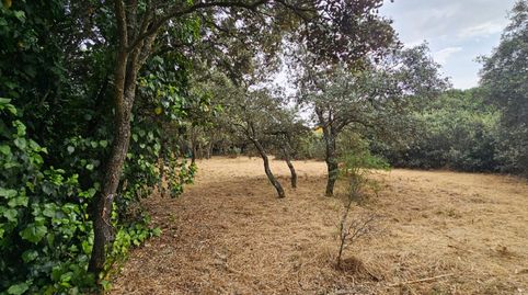 Foto 5 de Residencial en venta en Montecalderon Calle Blasco Ibañez, El Casar, Guadalajara