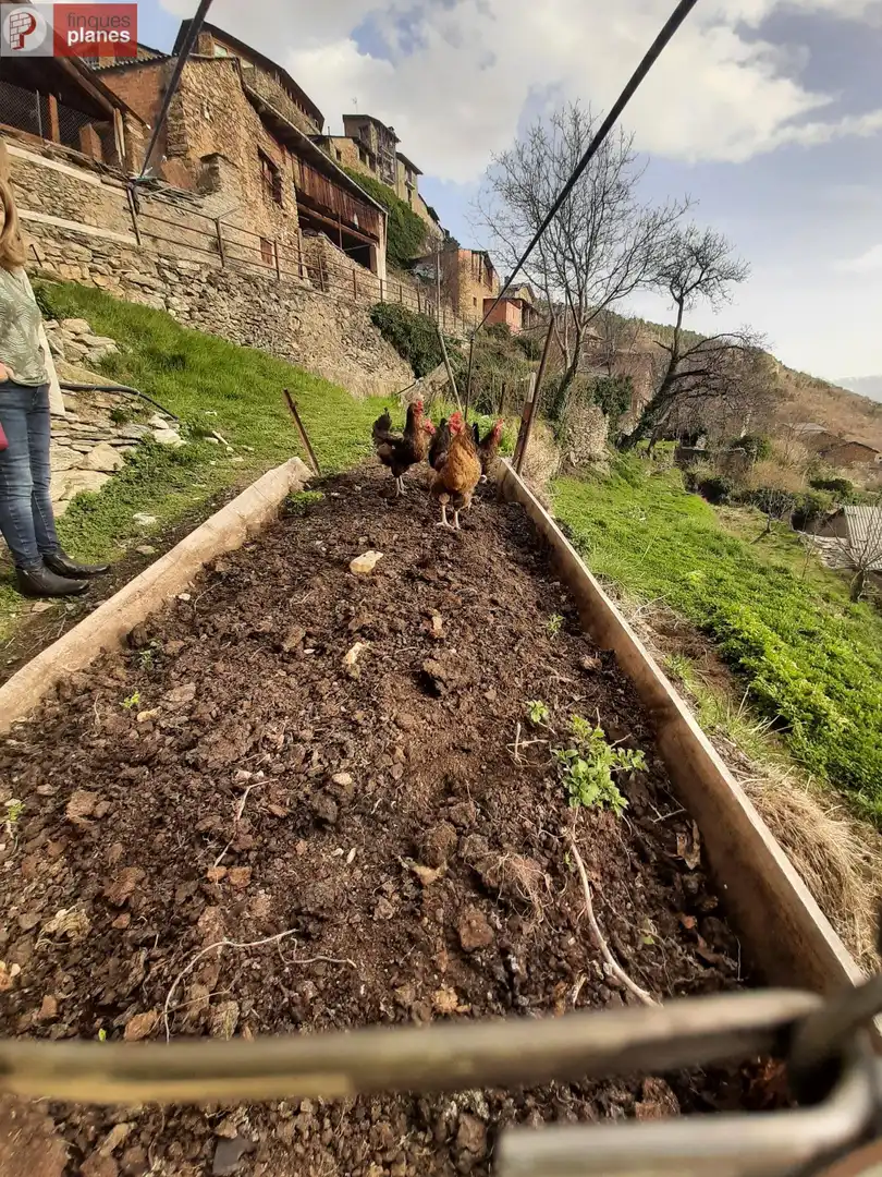 Jardí de Casa o xalet en venda en Les Valls de Valira amb Calefacció i Jardí privat