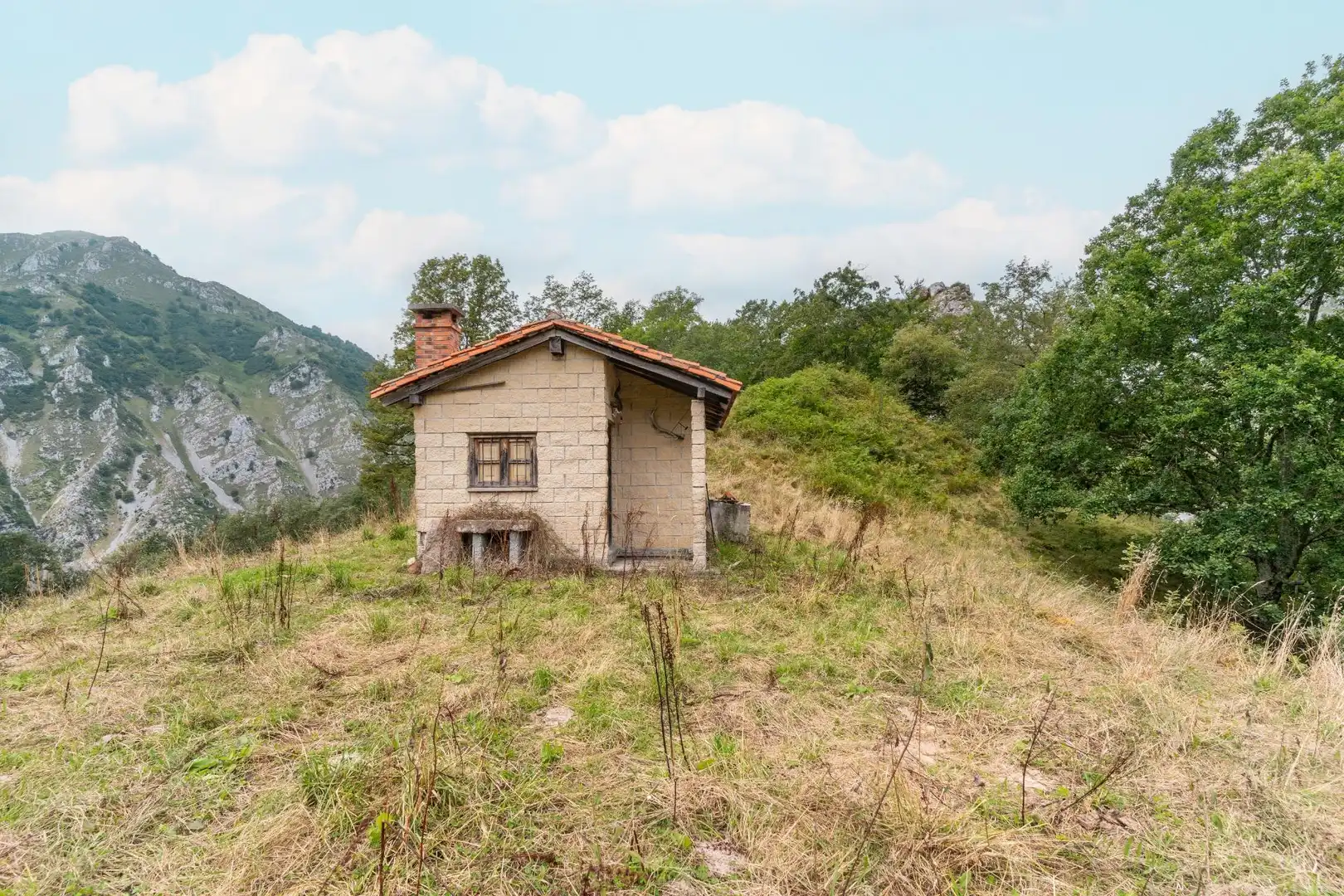 Houses for sale in Amieva
