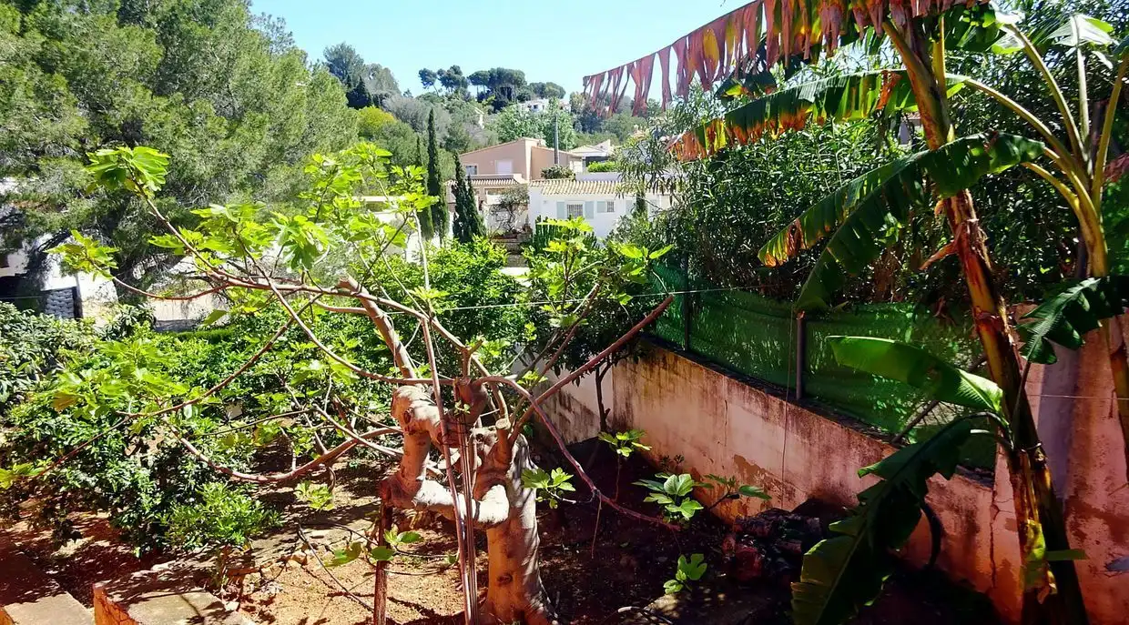 House with garden for sale in Corral de Calafat 26E, imagen 58