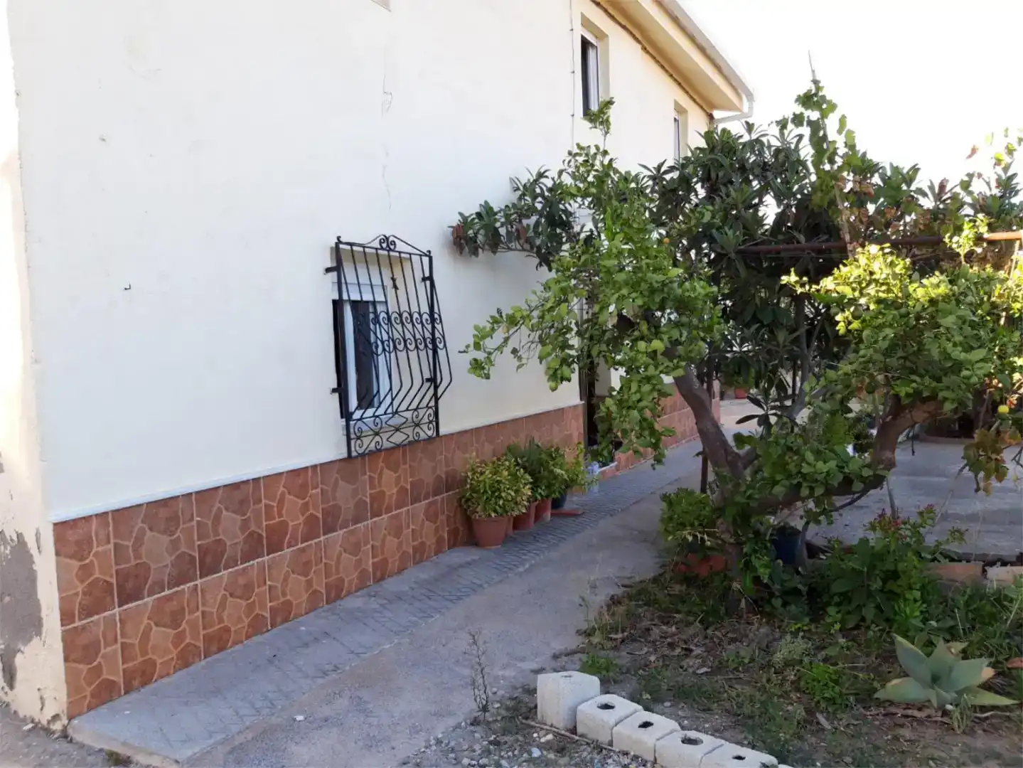 Vista exterior de Casa o xalet en venda en Arboleas