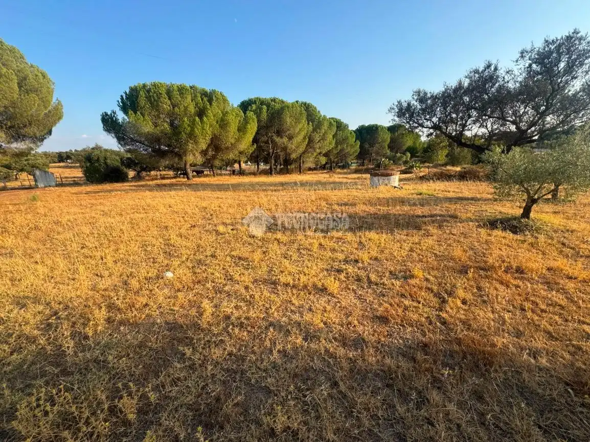 Finca rústica en venda en Badajoz amb Traster i Moblat