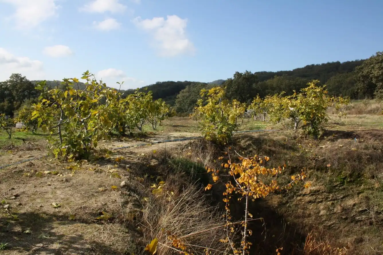 Finca rústica en venta en Torremenga con Jardín privado, Terraza y Amueblado