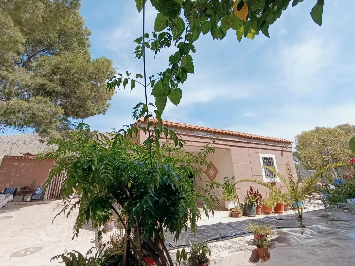 Maison avec piscine à vendre à Hondón de las Nieves / El Fondó de les Neus, imagen 21