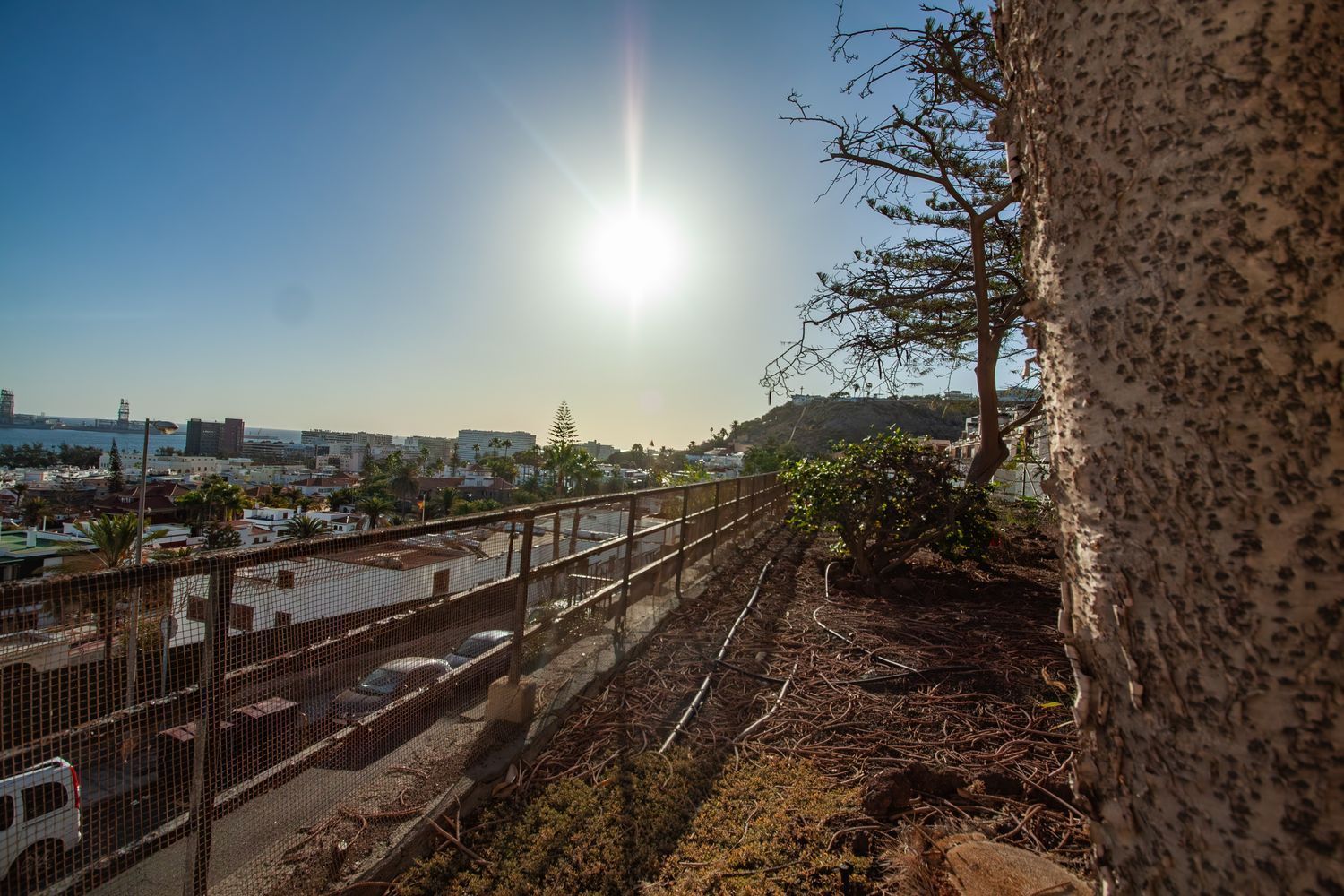 Exterior view of House or chalet for sale in Las Palmas de Gran Canaria  with Private garden, Terrace and Storage room