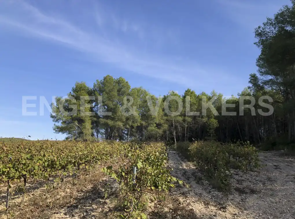 Terreny residencial en venda a Avinyonet del Penedès, imagen 24