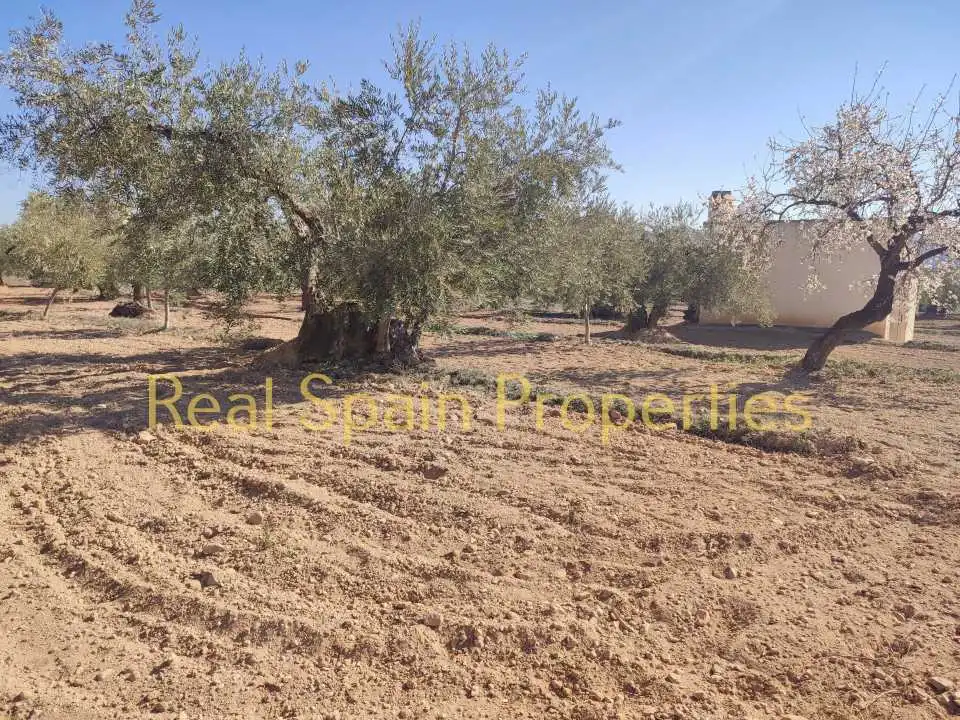Residential land for sale in Vélez-Rubio, imagen 6