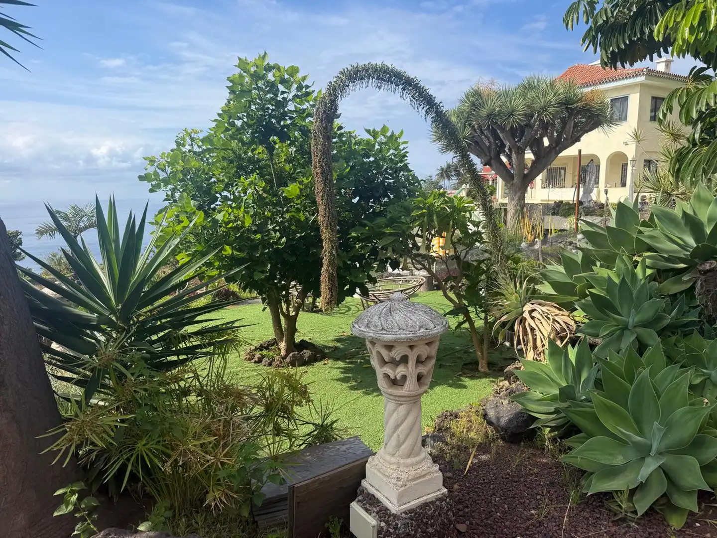 Jardín de Casa o chalet en venta en Santa Úrsula con Jardín privado, Terraza y Piscina