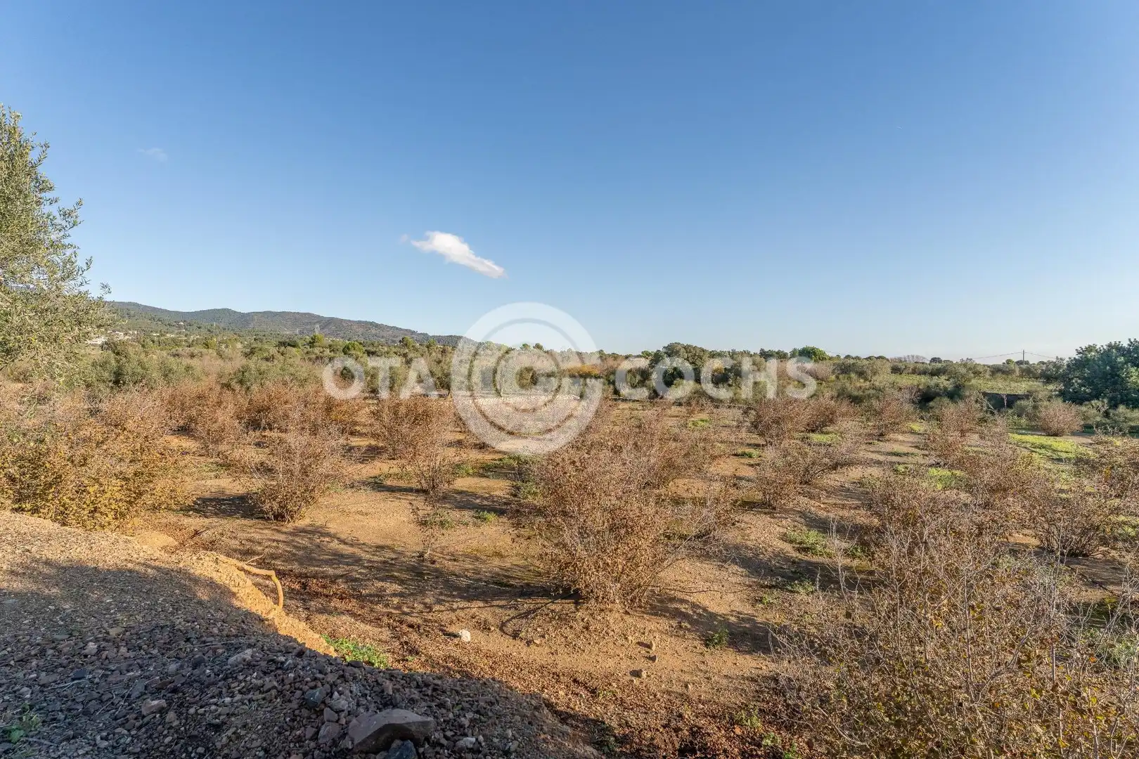 Finca rústica en venta en Castellvell del Camp