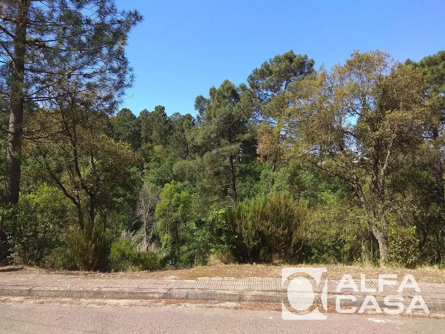 Terreno rústico en venta en LES SURERES, imagen 13