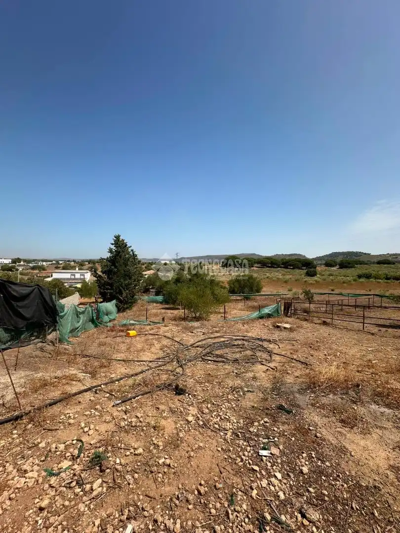 Casa rústica en venda a Arcos de la Frontera, imagen 19